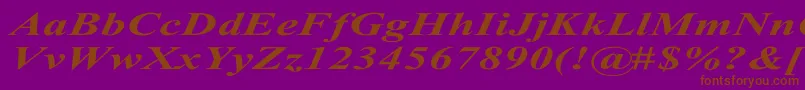 Police TimesRomanExBoldItalic – polices brunes sur fond violet