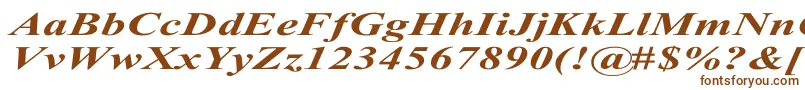 TimesRomanExBoldItalic Font – Brown Fonts