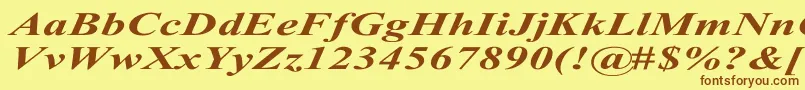 Police TimesRomanExBoldItalic – polices brunes sur fond jaune