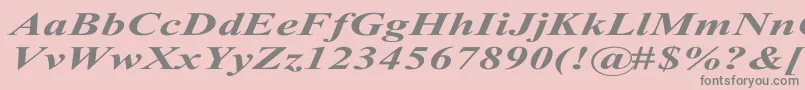 Police TimesRomanExBoldItalic – polices grises sur fond rose