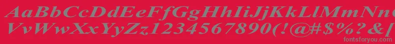 TimesRomanExBoldItalic Font – Gray Fonts on Red Background