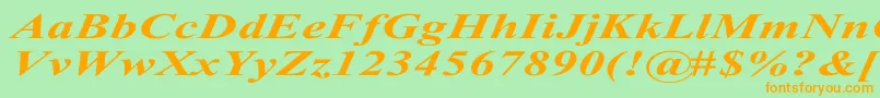 TimesRomanExBoldItalic Font – Orange Fonts on Green Background