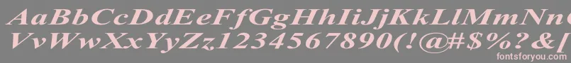TimesRomanExBoldItalic-Schriftart – Rosa Schriften auf grauem Hintergrund