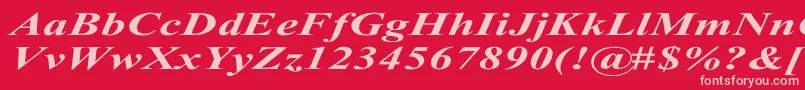 TimesRomanExBoldItalic Font – Pink Fonts on Red Background