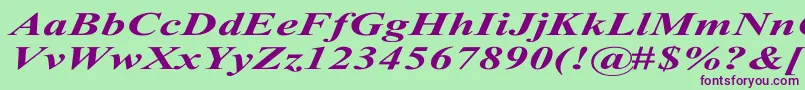 TimesRomanExBoldItalic Font – Purple Fonts on Green Background