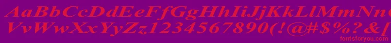 TimesRomanExBoldItalic Font – Red Fonts on Purple Background