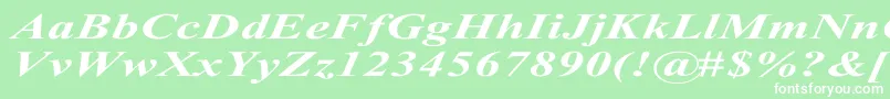 TimesRomanExBoldItalic Font – White Fonts on Green Background