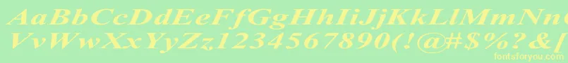 TimesRomanExBoldItalic Font – Yellow Fonts on Green Background