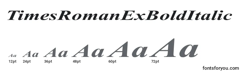 TimesRomanExBoldItalic Font Sizes