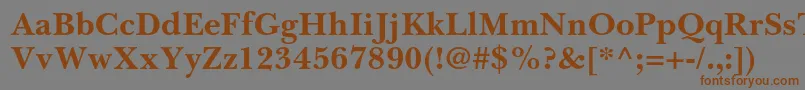 BaskervillecyrltstdBold Font – Brown Fonts on Gray Background