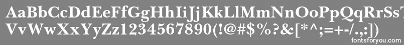 フォントBaskervillecyrltstdBold – 灰色の背景に白い文字