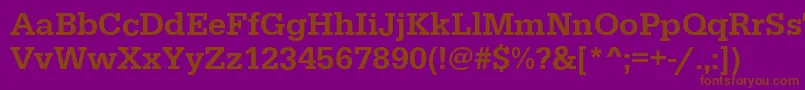 EgyptiennestdMedium Font – Brown Fonts on Purple Background