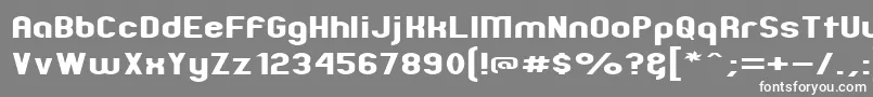 フォントZillahModernExpanded – 灰色の背景に白い文字