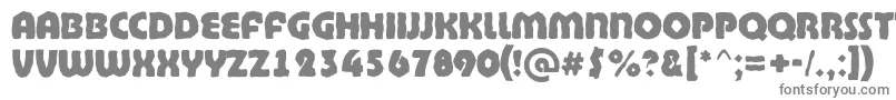 ABighaustitulbrkExtrabold Font – Gray Fonts on White Background