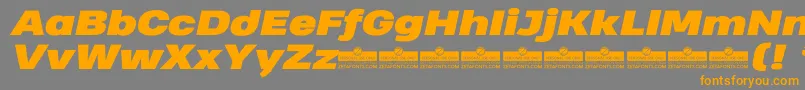 HeadingProWideBlackItalicTrial Font – Orange Fonts on Gray Background