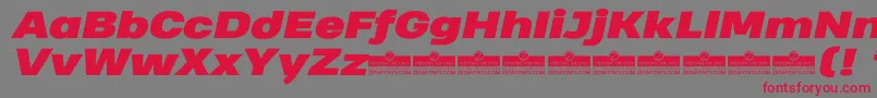HeadingProWideBlackItalicTrial Font – Red Fonts on Gray Background