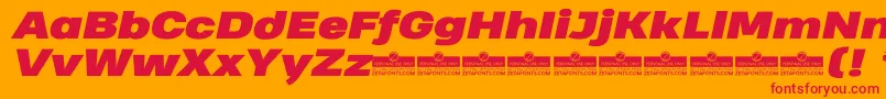 HeadingProWideBlackItalicTrial Font – Red Fonts on Orange Background