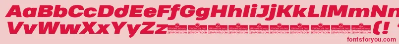 HeadingProWideBlackItalicTrial Font – Red Fonts on Pink Background