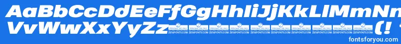 HeadingProWideBlackItalicTrial Font – White Fonts on Blue Background