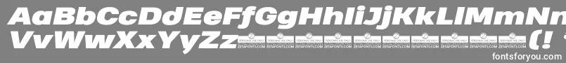 HeadingProWideBlackItalicTrial Font – White Fonts on Gray Background