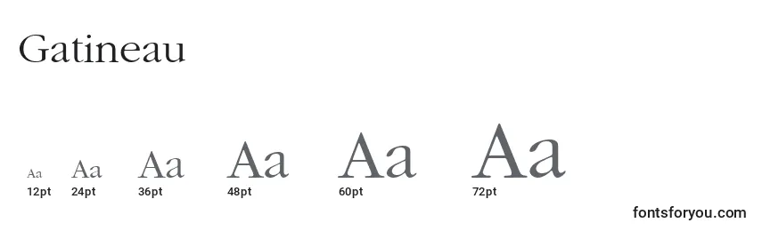 Размеры шрифта Gatineau