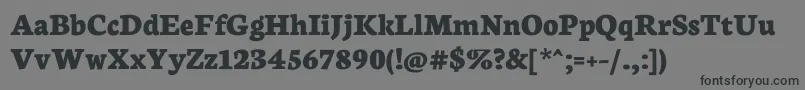NeutonExtrabold Font – Black Fonts on Gray Background