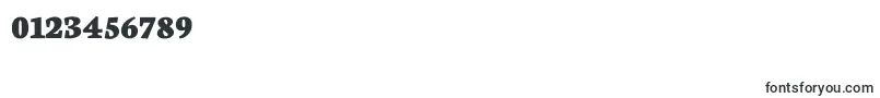 NeutonExtrabold Font – Fonts for Numbers and Digits