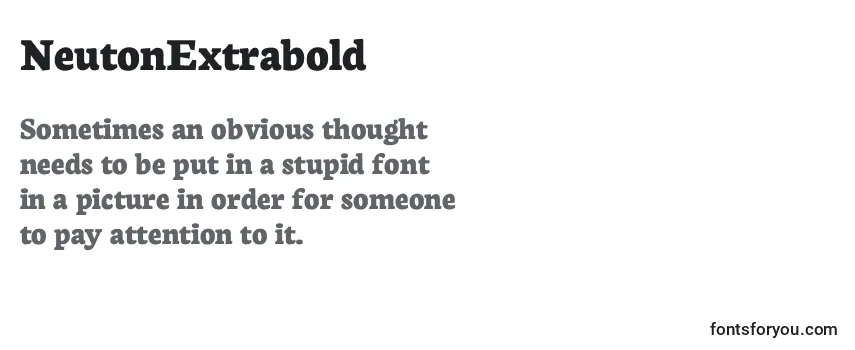 Review of the NeutonExtrabold Font