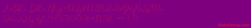 ReadingRegular Font – Red Fonts on Purple Background