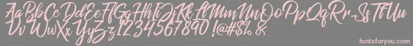 Weitere Informationen zur Raphlanokfuture-Schriftart Raphlanokfuture-Schriftart – Rosa Schriften auf grauem Hintergrund