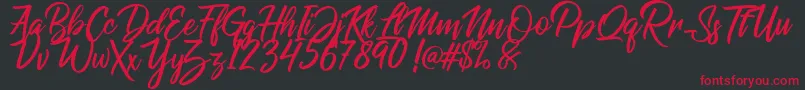 Raphlanokfuture Font – Red Fonts on Black Background