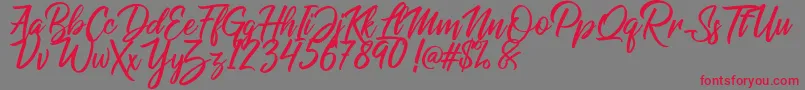 Raphlanokfuture-Schriftart – Rote Schriften auf grauem Hintergrund