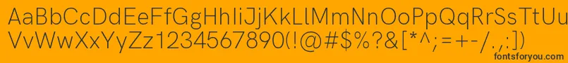 HkgroteskLightlegacy Font – Black Fonts on Orange Background