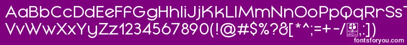 フォントMayekaRegularDemo – 紫の背景に白い文字