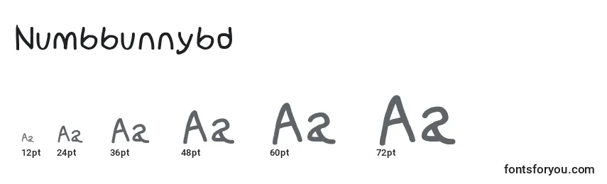 Размеры шрифта Numbbunnybd