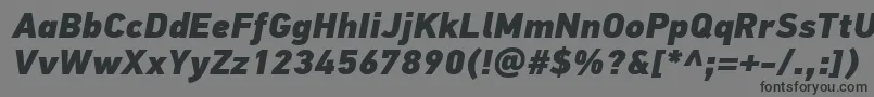 フォントPfdintextproExtrablackitalic – 黒い文字の灰色の背景