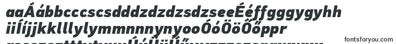 PfdintextproExtrablackitalic-Schriftart – ungarische Schriften