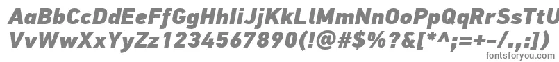 Czcionka PfdintextproExtrablackitalic – szare czcionki na białym tle