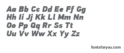 PfdintextproExtrablackitalic Font