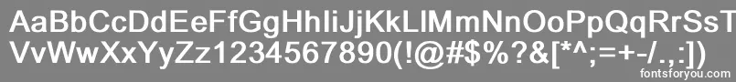 DixonBold Font – White Fonts on Gray Background