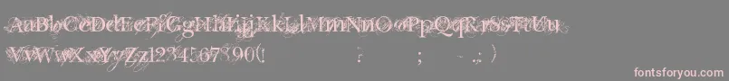 フォントChicDecay – 灰色の背景にピンクのフォント