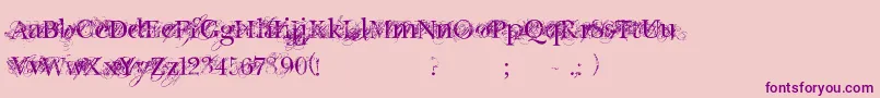 ChicDecay Font – Purple Fonts on Pink Background