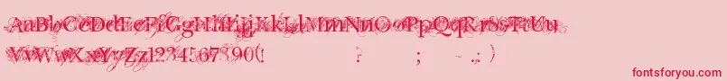 ChicDecay Font – Red Fonts on Pink Background