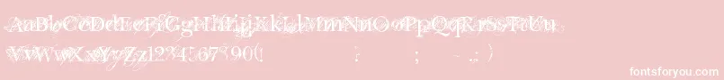 ChicDecay Font – White Fonts on Pink Background