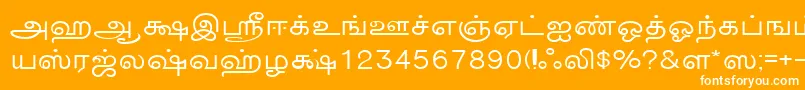 フォントTmnewsNormal – オレンジの背景に白い文字