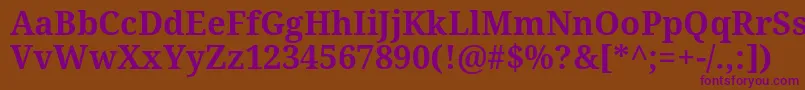 NotoSerifBold Font – Purple Fonts on Brown Background
