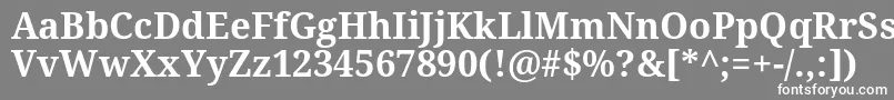 フォントNotoSerifBold – 灰色の背景に白い文字