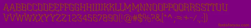 ACitynovattlspdnlt Font – Brown Fonts on Purple Background