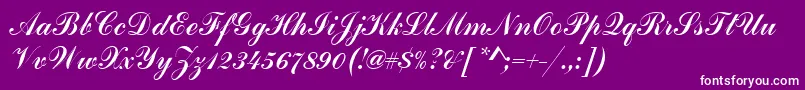 Commercialscrdee Font – White Fonts on Purple Background