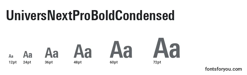 UniversNextProBoldCondensed Font Sizes